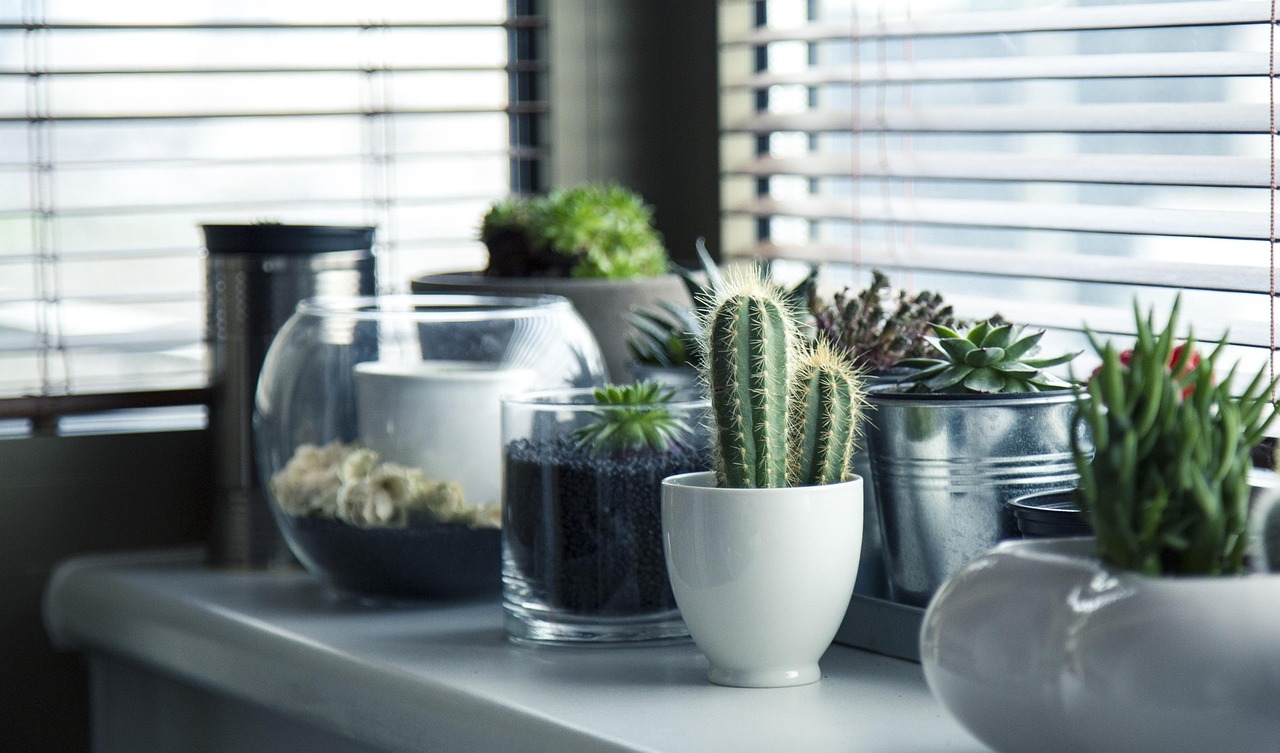 Groene kamerplanten op een bureau in een rustige thuiswerkplek