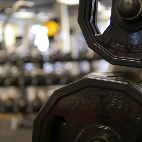 Vrouw die gewichten heft in de sportschool tijdens een krachttraining