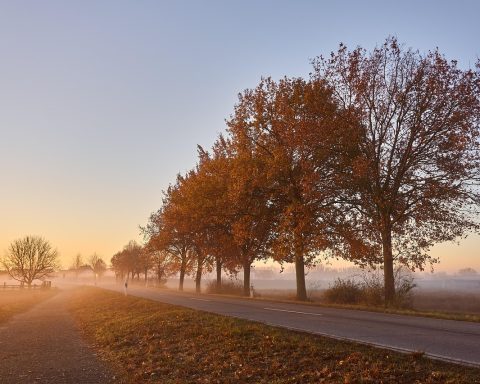 Huidverzorgingsproducten met squalaan en glycerine op een badkamertafel in de herfst