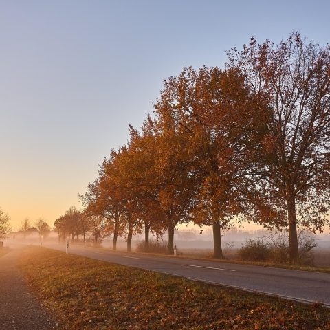 Huidverzorgingsproducten met squalaan en glycerine op een badkamertafel in de herfst