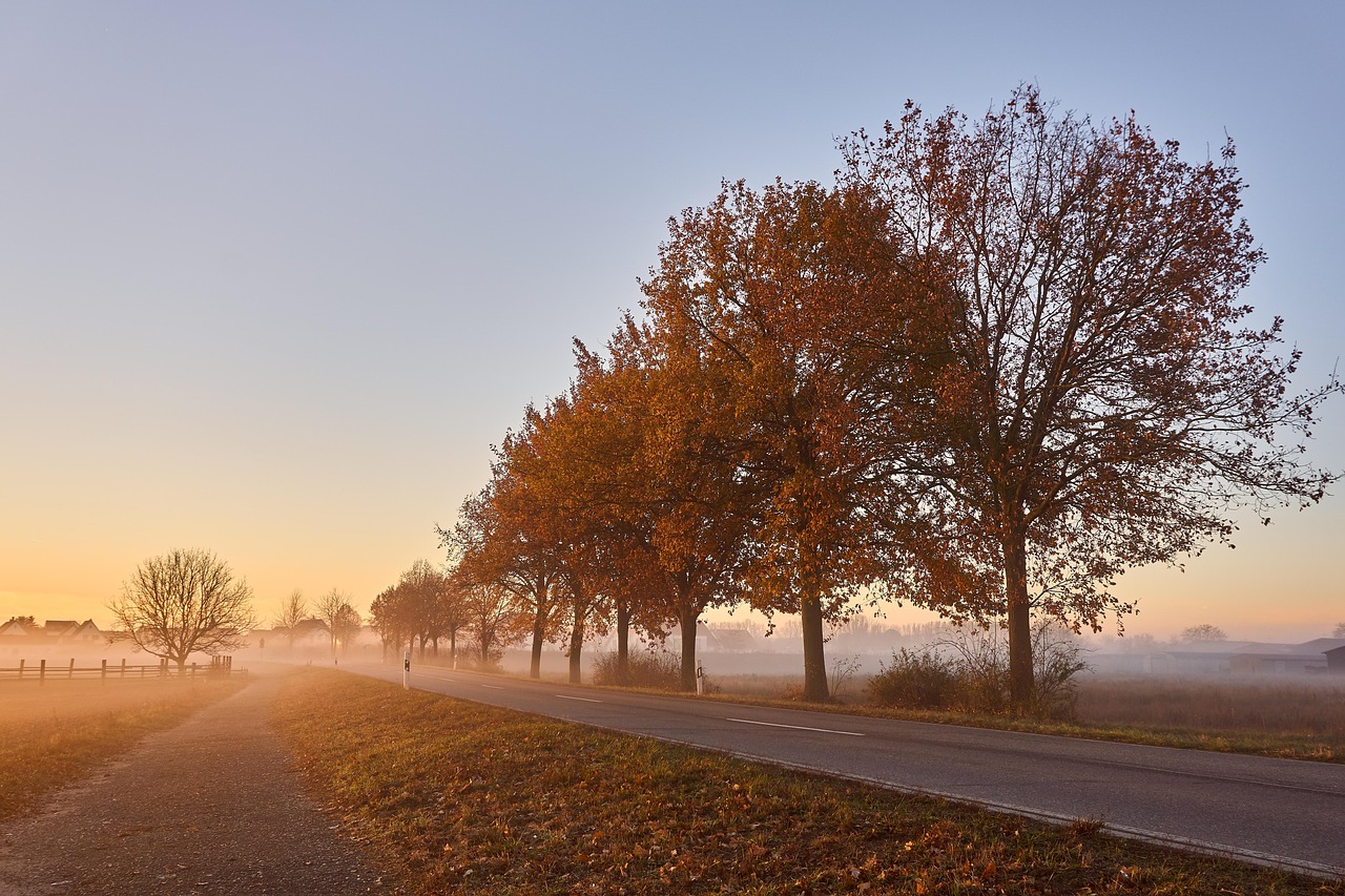 Huidverzorgingsproducten met squalaan en glycerine op een badkamertafel in de herfst